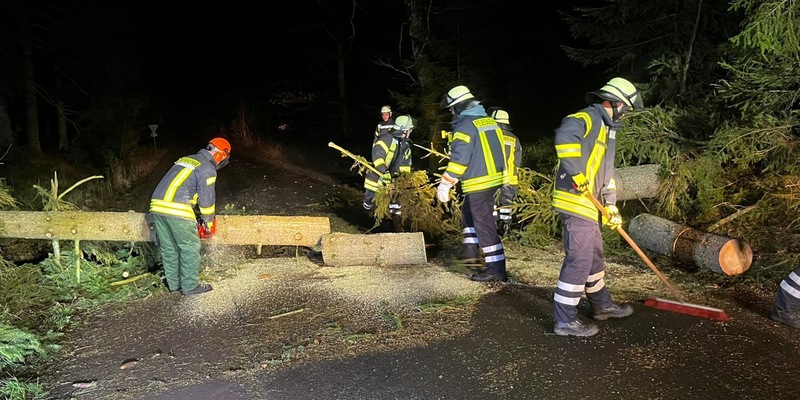 FW Lüchow-Dannenberg: +++stürmische Nacht in Lüchow-Dannenberg +++ Feuerwehren rücken zu insgesamt sieben Einsätzen aus +++ Schwerpunkt in der Samtgemeinde Elbtalaue +++ - Foto: presseportal.de