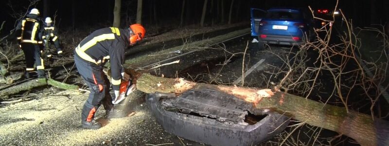 Im Landkreis Emsland fuhr eine Autofahrerin mit ihrem Wagen gegen einen Baum. Sie wurde leicht verletzt. - Foto: -/Nord-West-Media TV/dpa