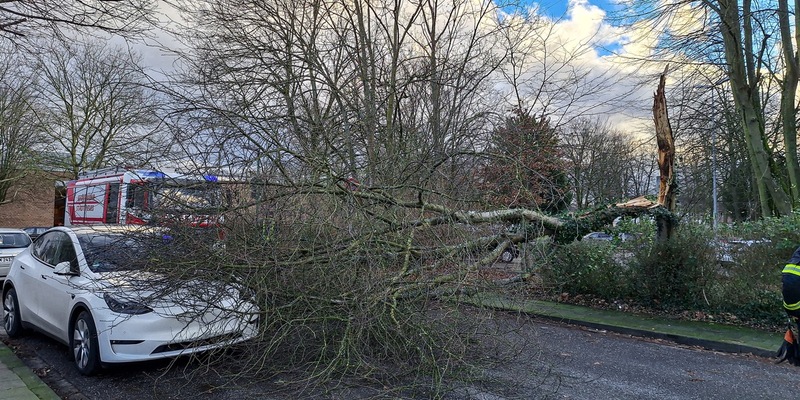 FW-NE: Sturmtief sorgt für zahlreiche Einsätze: 26 Sturmschäden beseitigt - Foto: presseportal.de