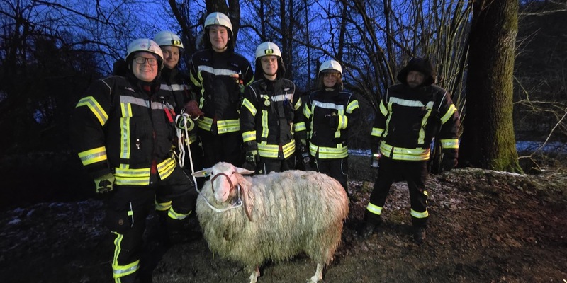 FW-EN: Schaf steckt in Tümpel fest - Tierrettung in Breckerfeld - Foto: presseportal.de