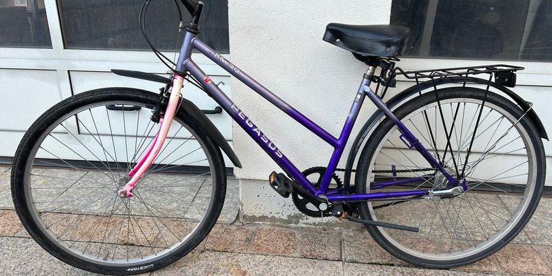 POL-PDLU: Speyer - Sichergestelltes Fahrrad - Eigentümer gesucht - Foto: presseportal.de