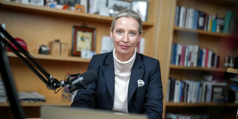 Mehr als eine Stunde lang unterhielten sich die AfD-Vorsitzende, Alice Weidel, und der Tech-Milliardär Elon Musk auf der Plattform X. Die Plattform gehört Musk. - Foto: Kay Nietfeld/dpa-POOL/dpa