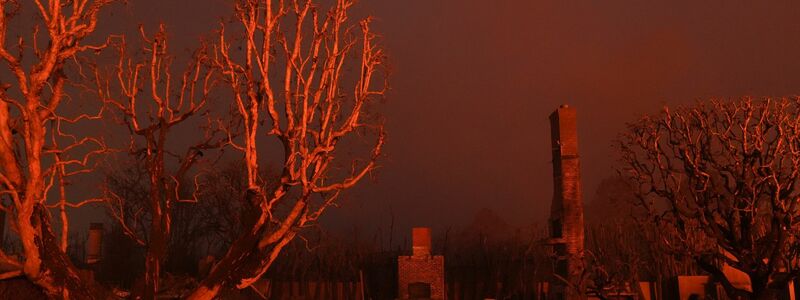 Ein weiterer Mensch ist an den Folgen des Feuers im Viertel Pacific Palisades gestorben. - Foto: Jae C. Hong/AP/dpa