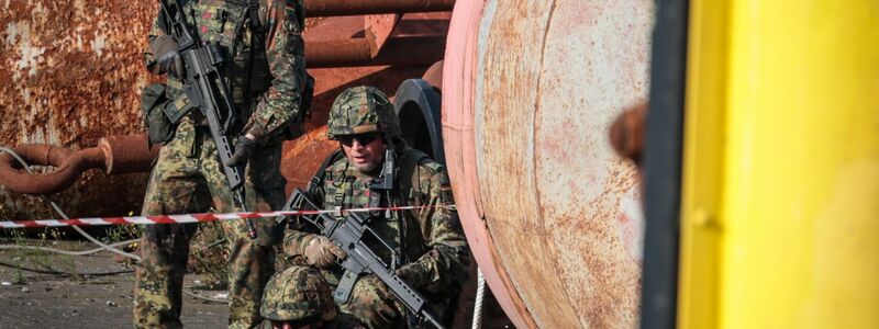 Heimatschützer bei der Bundeswehr-Übung «Fishtown Guard 2024» - Foto: Focke Strangmann/dpa