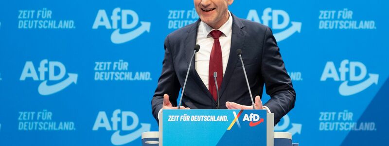 AfD-Rechtsaußen Björn Höcke spricht zu mehreren Änderungsanträgen am Wahlprogramm.  - Foto: Sebastian Kahnert/dpa