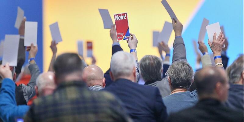 Abstimmung auf AfD-Parteitag (Archiv) - Foto: über dts Nachrichtenagentur