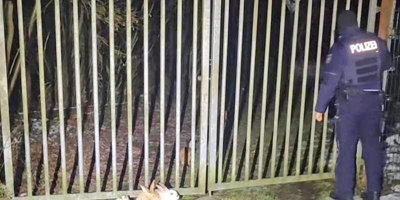 POL-MK: Polizeibeamte retten neun Kaninchen - Foto: presseportal.de