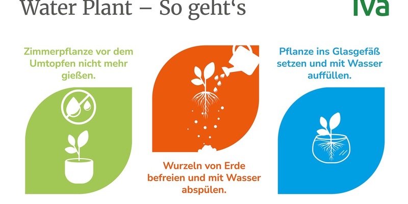 Grüne Highlights: Tipps für Water Plants - Foto: presseportal.de