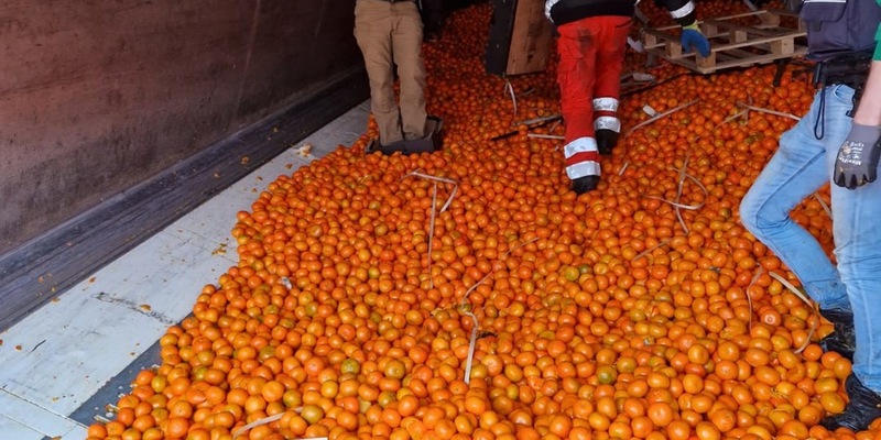 LKA-HE: Marihuana und Mandarinen geladen - Zoll und Polizei stellen 51 Kilogramm Drogen in verunglücktem Lkw sicher - Foto: presseportal.de