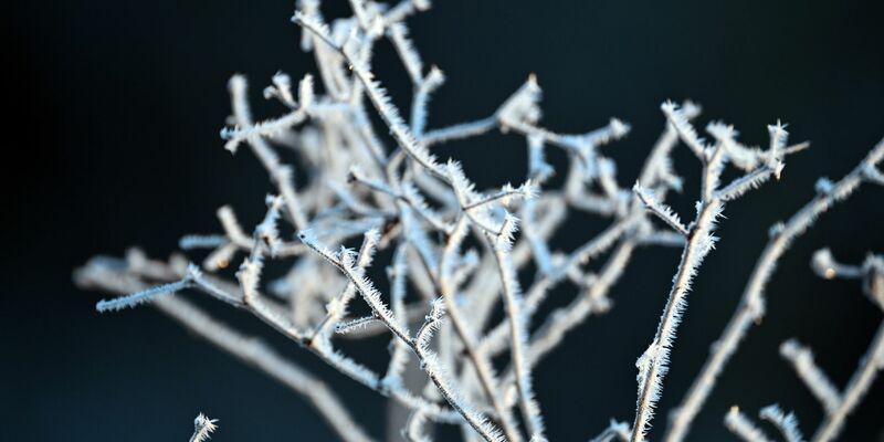 Minusgrade sind auch in der kommenden Nacht vielerorts zu erwarten. - Foto: Federico Gambarini/dpa