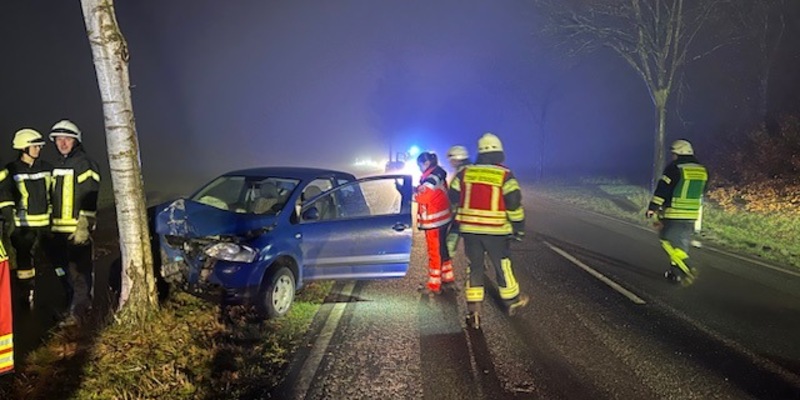 POL-STD: 28-jähriger Autofahrer prallt gegen Baum - durch Glück nur leicht verletzt, Kupferdiebe in Deinste - Foto: presseportal.de