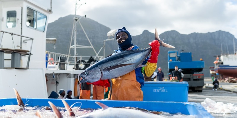 ALDI SÜD Gruppe integriert als erster Einzelhändler weltweit das neue MSC Fischereiverbesserungsprogramm in seine Einkaufsrichtlinie - Foto: presseportal.de