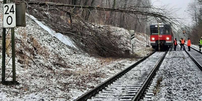 Bundespolizeidirektion München: Bahnbetriebsunfall / Baum fällt in Oberleitung - Foto: presseportal.de