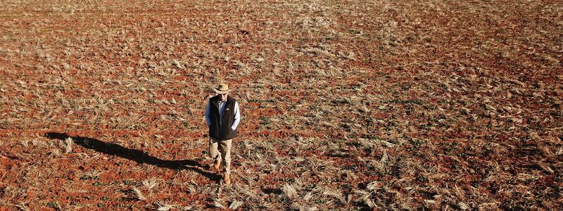 Ein Getreidebauer geht während einer Dürreperiode in Australien 2018 über sein vertrocknetes Rapsfeld. (Archivbild) - Foto: Dean Lewins/AAP/dpa