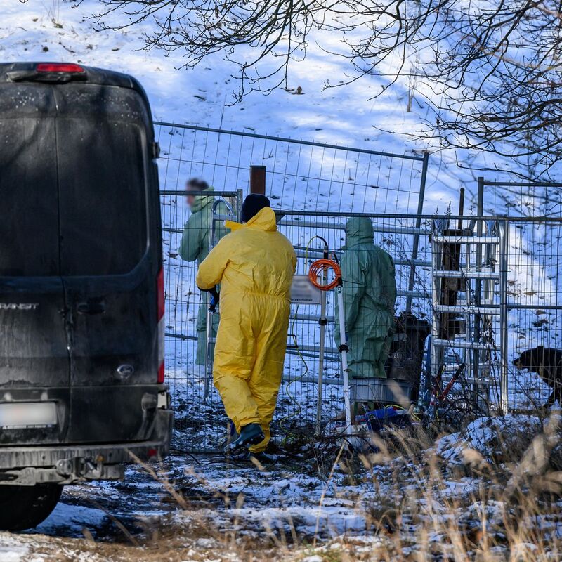Das Virus kann monate- oder gar jahrelang infektiös bleiben, auch wenn es im Erdboden ist oder eingetrocknet. - Foto: Patrick Pleul/dpa