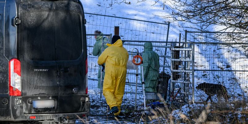 Das Virus kann monate- oder gar jahrelang infektiös bleiben, auch wenn es im Erdboden ist oder eingetrocknet. - Foto: Patrick Pleul/dpa