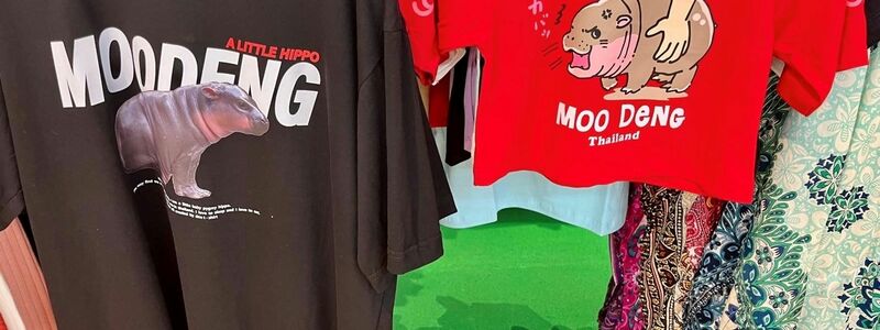 Besonders Moo-Deng-T-Shirts sind ein echter Kassenschlager. - Foto: Angelique van Spijk/dpa