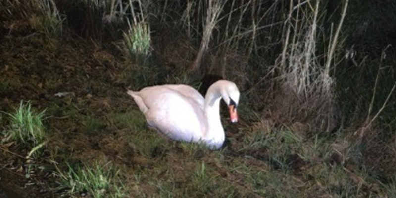 POL-CUX: Pressemeldung der Polizeiinspektion Cuxhaven - Foto: presseportal.de