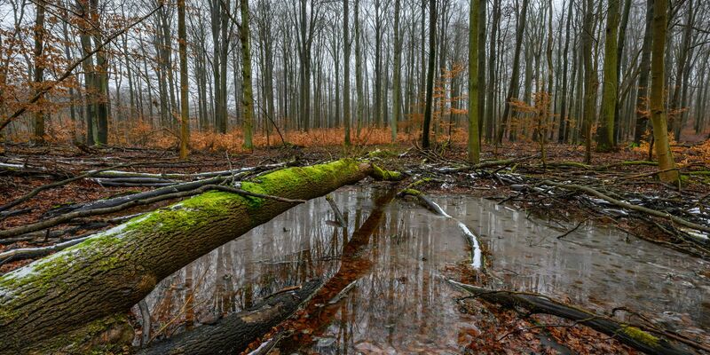 Jugendliche setzen sich für alte Apfelsorten, Biosphärenreservate und vieles mehr ein. (Achivbild) - Foto: Patrick Pleul/dpa