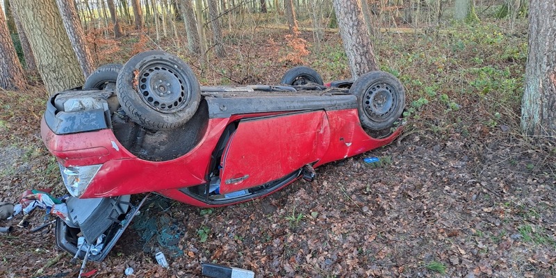 POL-ROW: ++ Schwäne in Bremervörde behindern den Verkehr ++ Pkw brennt in Sottrum aus ++ Bei Glätte von der Straße abgekommen: Auto überschlägt sich ++ Mit 1,6 Promille am Steuer ++ - Foto: presseportal.de