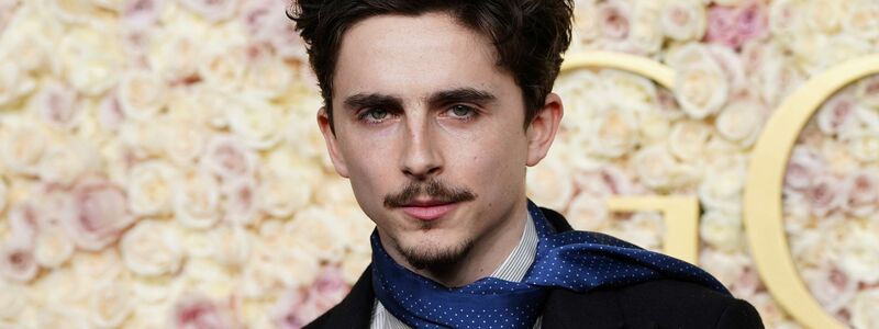 Timothée Chalamet gehört zu den Stars, die in Berlin erwartet werden (Archivbild). - Foto: Jordan Strauss/Invision/AP/dpa