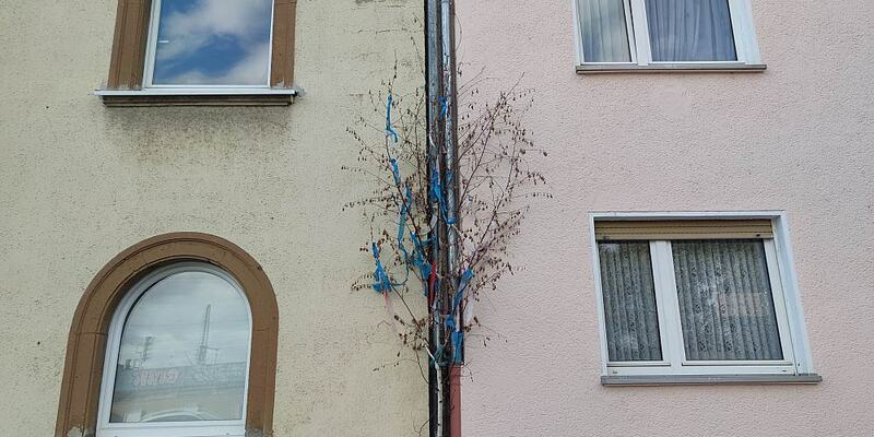 Maibaum vor Haus in Köln (Archiv) - Foto: über dts Nachrichtenagentur
