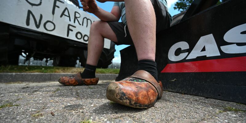 Mehrfach hatten Landwirte in den vergangenen Jahren massiv gegen die Umweltauflagen protestiert. (Archivbild) - Foto: Lars Klemmer/dpa
