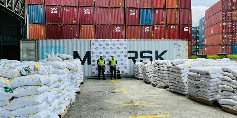 Kolumbianische Sicherheitskräfte haben eine der größten Mengen Kokain in der Geschichte des südamerikanischen Landes sichergestellt. - Foto: ---/colprensa/dpa