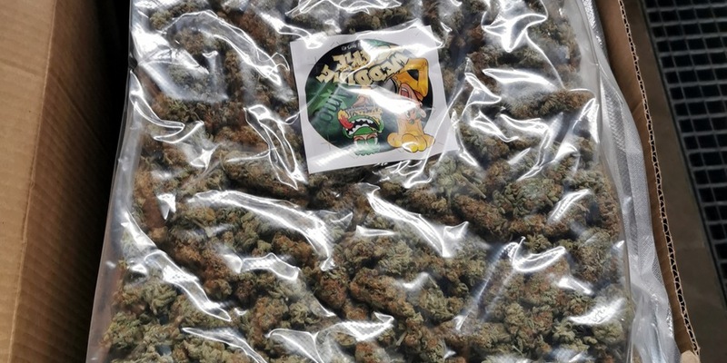 HZA-MD: 125 kg Marihuana versteckt zwischen Olivengläsern / Geruch lässt Rauschgiftschmuggel auf der A 9 auffliegen - Foto: presseportal.de