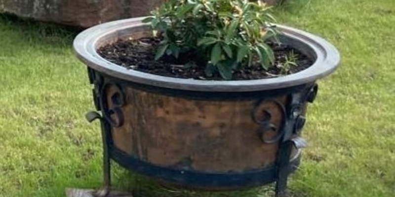 POL-PDPS: Blumenkübel aus Vorgarten entwendet - Foto: presseportal.de