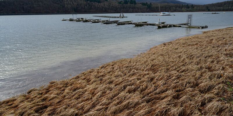Bis zur Wochenmitte wird es vielerorts windig. - Foto: Swen Pförtner/dpa