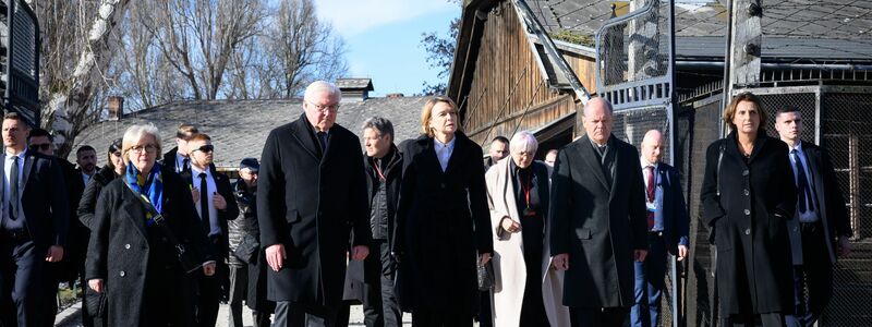 Bundespräsident Steinmeier leitete die bisher hochrangigste deutsche Delegation bei einer Gedenkfeier in Auschwitz. - Foto: Bernd von Jutrczenka/dpa