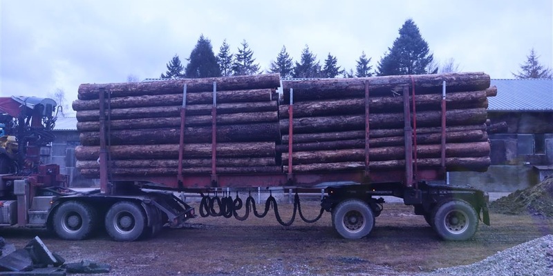 POL-PPTR: Zahlreiche Verstöße im Bereich der Lenk- und Ruhezeiten; Holztransport zu schwer und zu hoch - Foto: presseportal.de