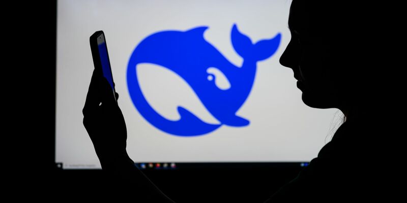 Sicherheitsforscher haben eine Datenbank mit sensiblen DeepSeek-Daten offen im Internet entdeckt. - Foto: Patrick Pleul/dpa