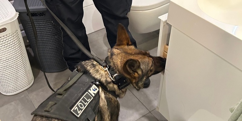 HZA-IZ: Zoll findet 21 lebende Blutegel in PET-Flaschen am Hamburger Flughafen / 21 ungarische Blutegel durch Zoll beschlagnahmt - Foto: presseportal.de