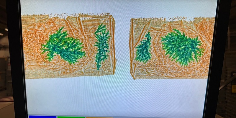 HZA-SB: Verbotener Paketinhalt/ ZOLL beschlagnahmt Steinkoralle - Foto: presseportal.de