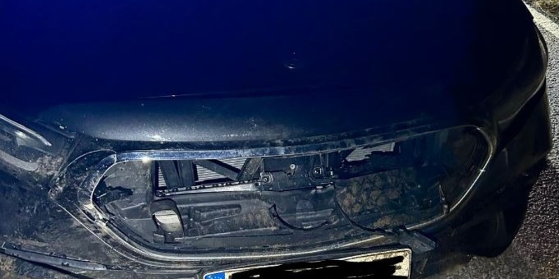 POL-PDLD: Edenkoben - Wildunfall - Foto: presseportal.de