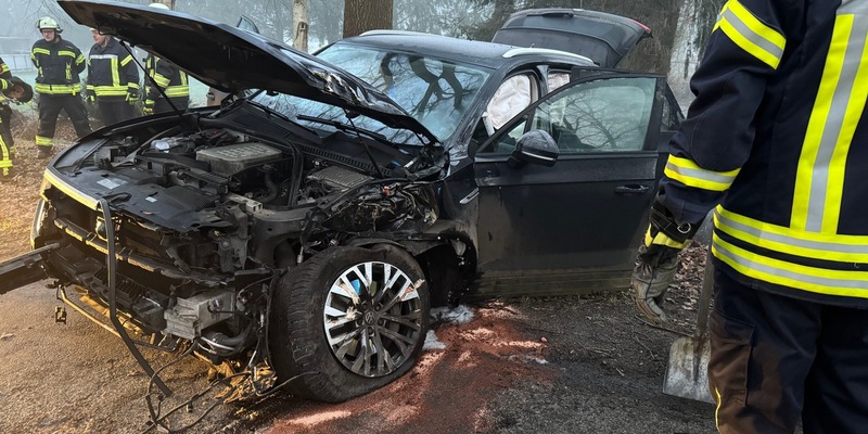 FFW Fredenbeck: 20-jähriger fährt gegen Baum / PKW stark beschädigt - Foto: presseportal.de