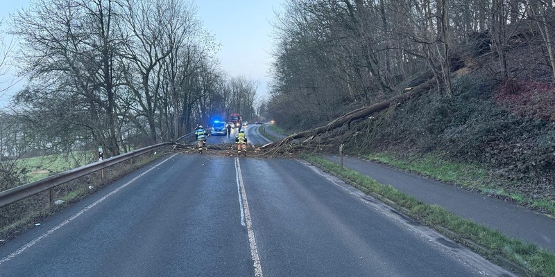 FW Xanten: Zwei umgestürzte Bäume auf der B57 - zeitintensive Beseitigung - Foto: presseportal.de