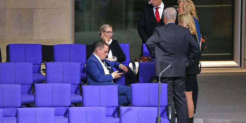 AfD-Abgeordnete im Bundestag am 31.01.2025 - Foto: über dts Nachrichtenagentur