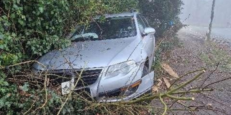 POL-NI: Verkehrsunfall aufgrund nebeliger Sichtverhältnisse - Foto: presseportal.de