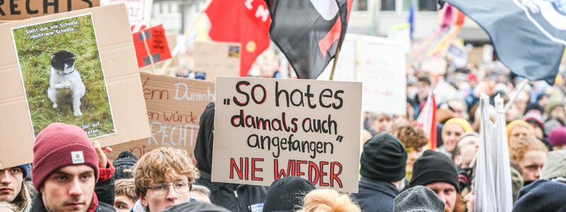 In Ulm gehen Demonstranten für die Demokratie auf die Straße. - Foto: Jason Tschepljakow/dpa