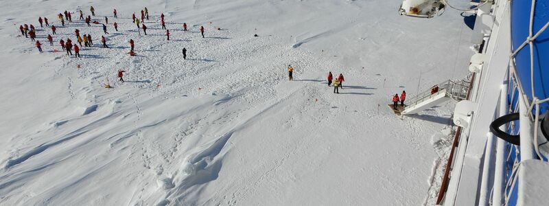 Wie nah ist zu nah? Das fragen sich Experten, wenn es um die Pinguin-Kolonien in der Antarktis und die Touristen geht. - Foto: Ricardo Roura/dpa