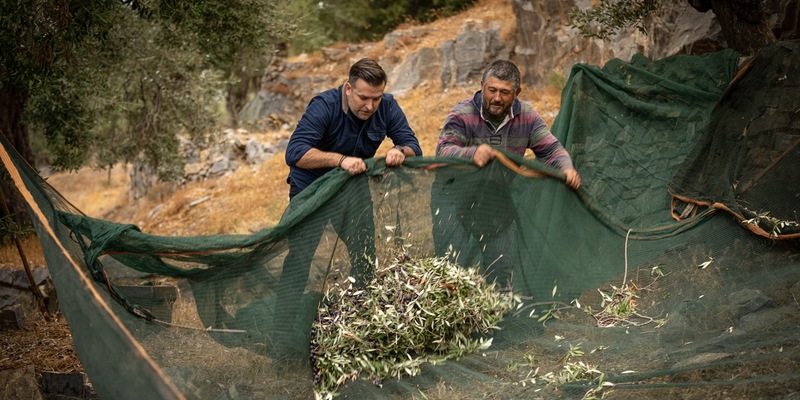 Jordan Olivenöl senkt Preise / Erfolgreiche Ernte und Marktentspannung bringen Vorteile für Verbraucher - Foto: presseportal.de