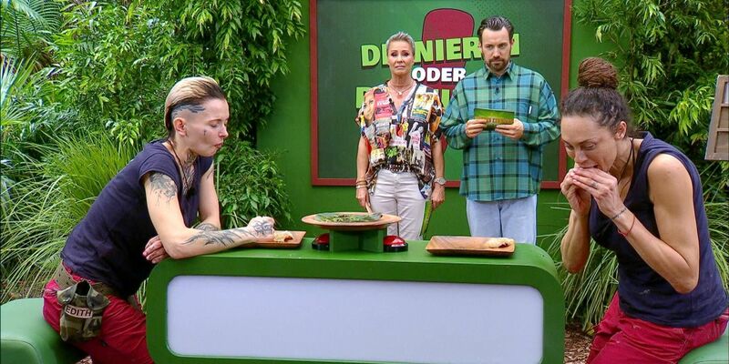 Bei der Schatzsuche stehen Alessia Herren und Timur Ülker vor einer kniffligen Herausforderung. - Foto: --/RTL/dpa