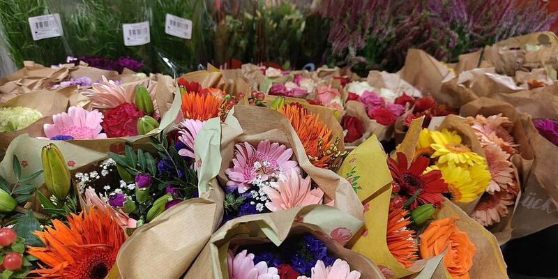 Blumen (Archiv) - Foto: über dts Nachrichtenagentur