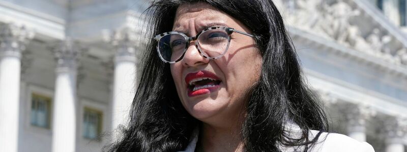 Auch Tlaib sprach von ethnischer Säuberung - Foto: Mariam Zuhaib/AP/dpa