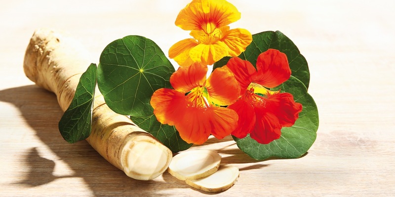 Europäische Antibiotikawoche 2024 / Wege aus der Antibiotika-Falle - Foto: presseportal.de