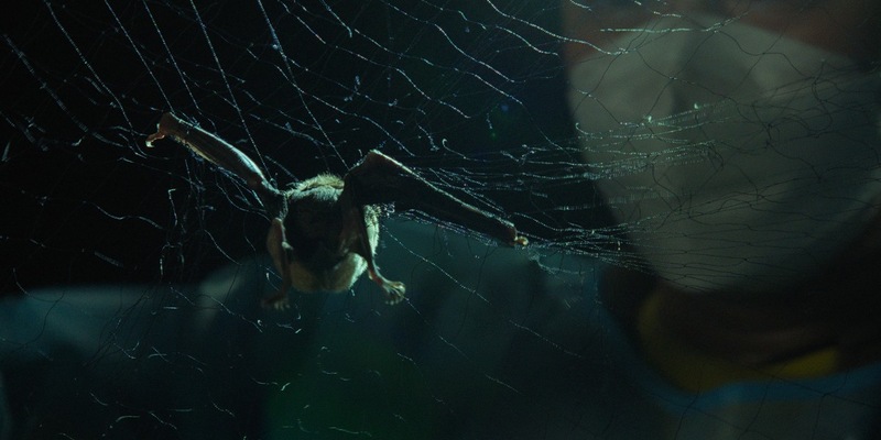 Ist die nächste Pandemie nur eine Frage der Zeit? ARD-Doku Spillover - Planet der Viren ab dem 5. März exklusiv in der ARD Mediathek - Foto: presseportal.de