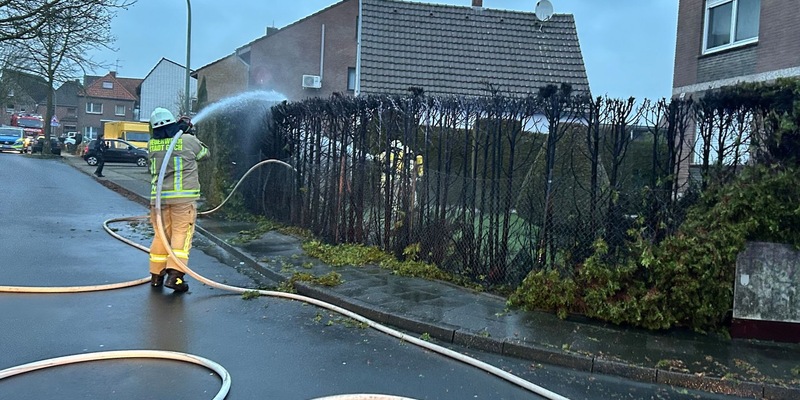 Feuerwehr Goch: Thuja-Hecke in Flammen - Foto: presseportal.de